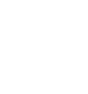 AAU_logo